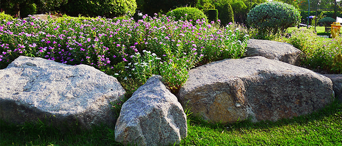 Xeriscape with Landscaping Boulders and Rocks