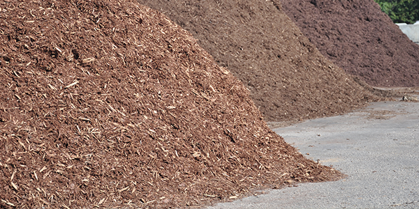 Choosing and Installing the Right Type of Mulch