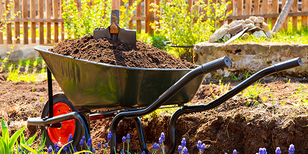 5 Must-Have Landscaping Tools for Amateurs & Professionals