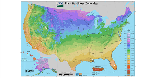 Understanding Zone Maps for Gardening