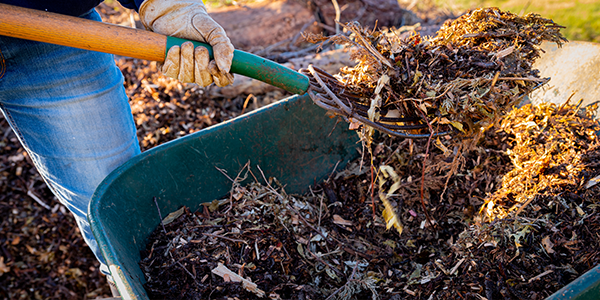5 Mulch Installation Tips You Need to Know