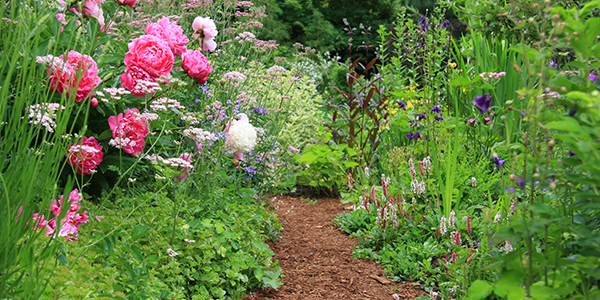 4 Cottagecore Garden Decor Ideas