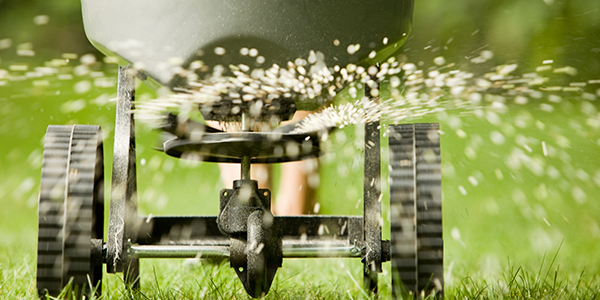 Spring Into Action: Guide to Spring Landscaping and Lawn Care