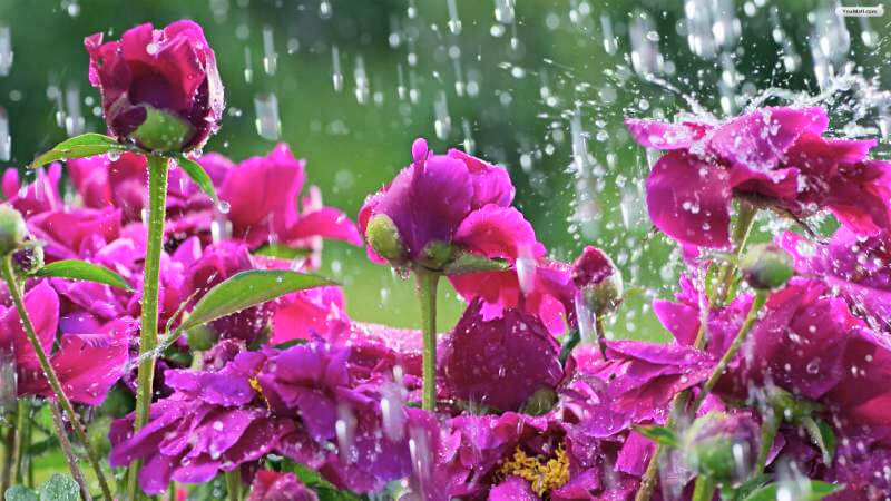 May Showers and Stormwater Management