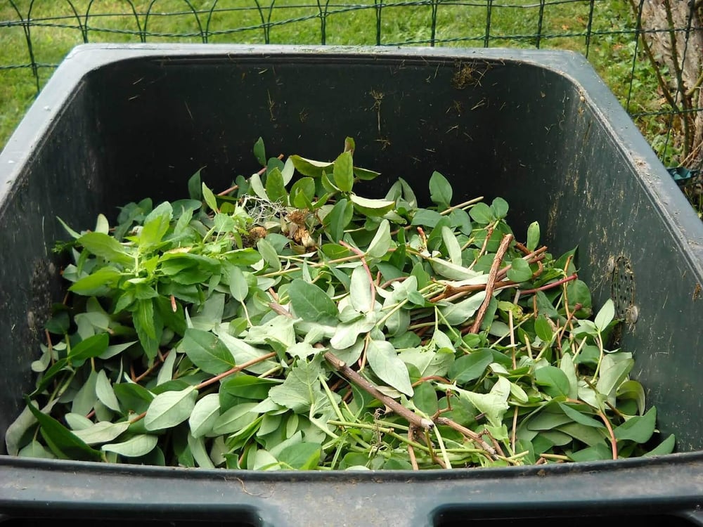 Why You Should Recycle Yard Waste
