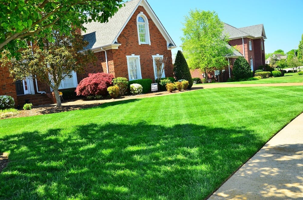 Getting Your Lawn Ready for the Hot Summer Months
