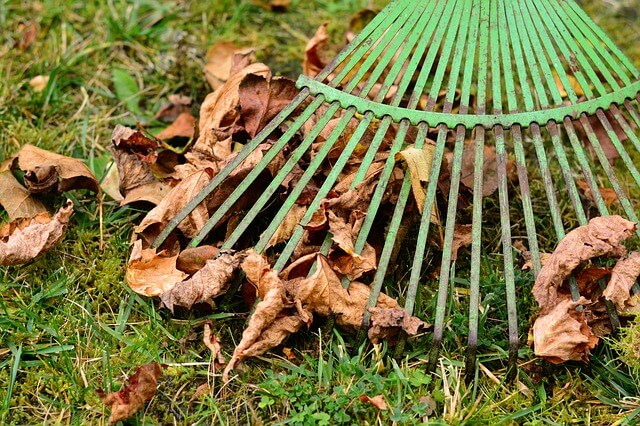 5 Fall Lawn Care Chores You Can't Afford to Skip