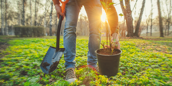 Arbor Day 2023: Make a Difference, One Tree at a Time