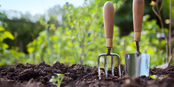 Top Soil Deliveries: What To Grow With Your Spring/Summer Supply