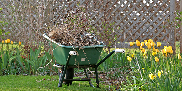 Spring Clean Up Landscaping - 3 Reasons You Should Try It!