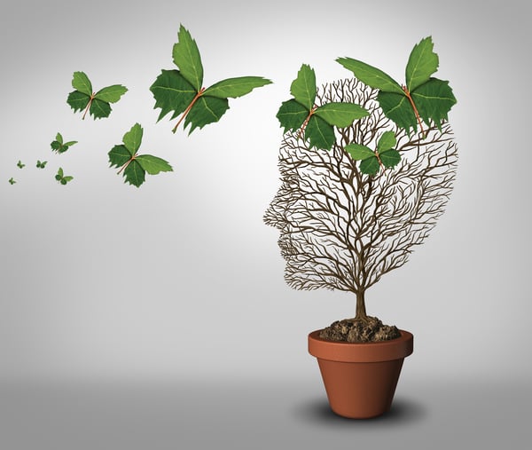 Mental Health plant Mental Health plant