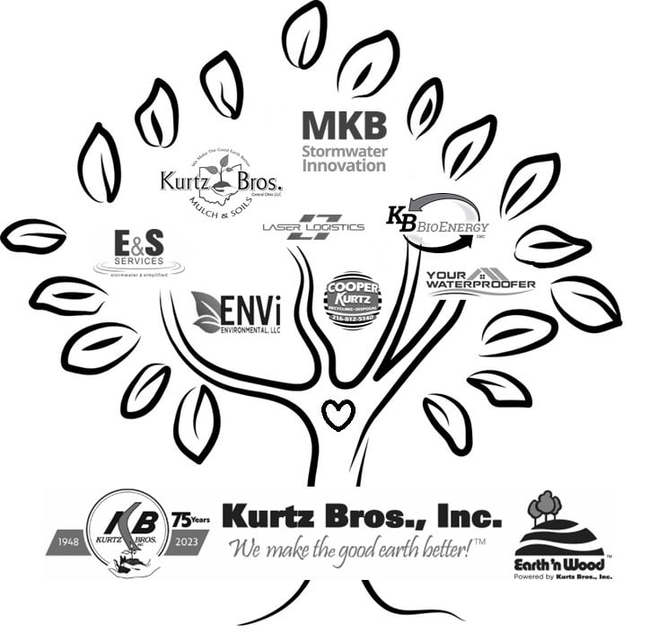Wellness Logo Wellness Logo