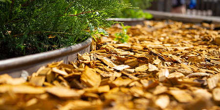 Wood Chip Mulch: The Top 5 Benefits